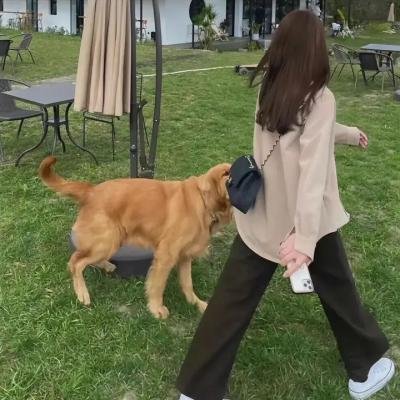 走进你的记忆